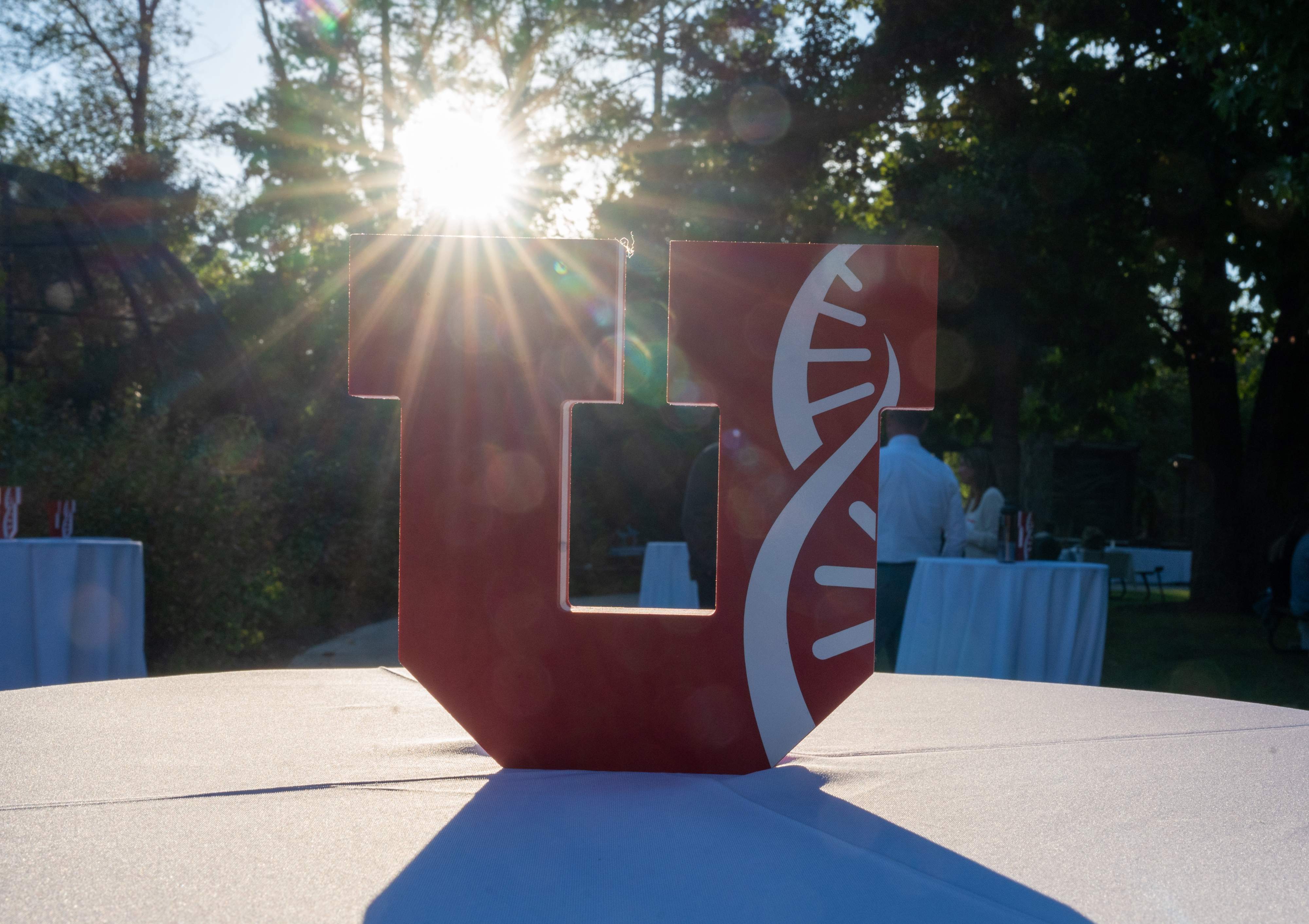 U Helix photo