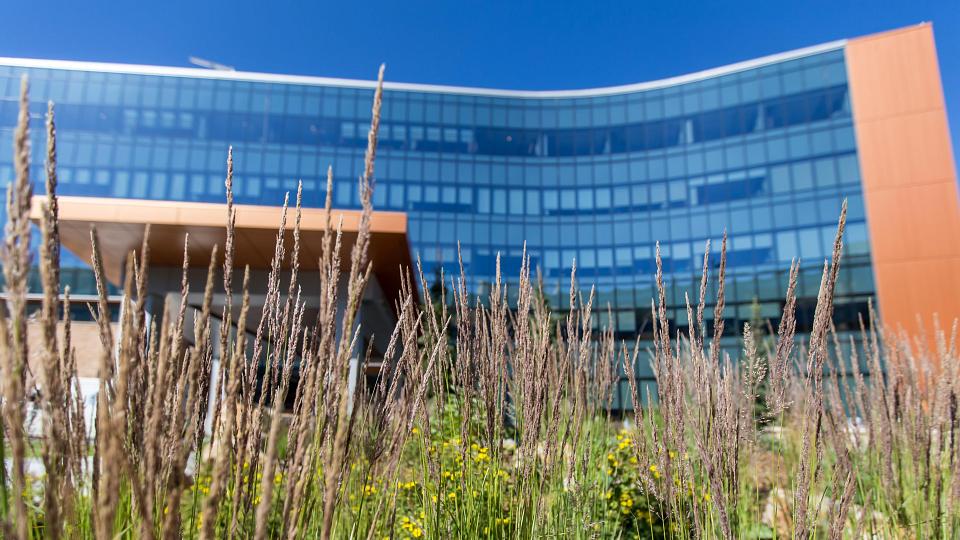 Neilsen Rehabilitation Hospital NRH Front Garden View